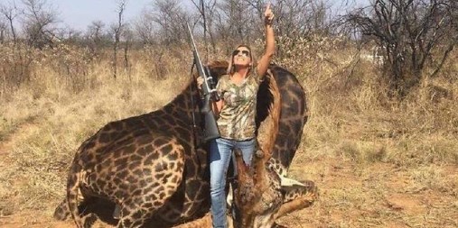 1. Daging hewan buruan